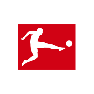 Germany Bundesliga (13)
