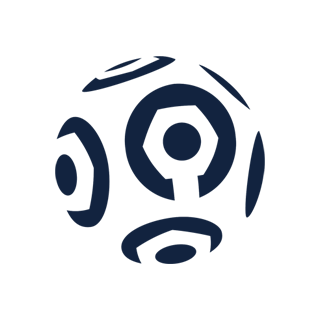 French Ligue 1 (12)
