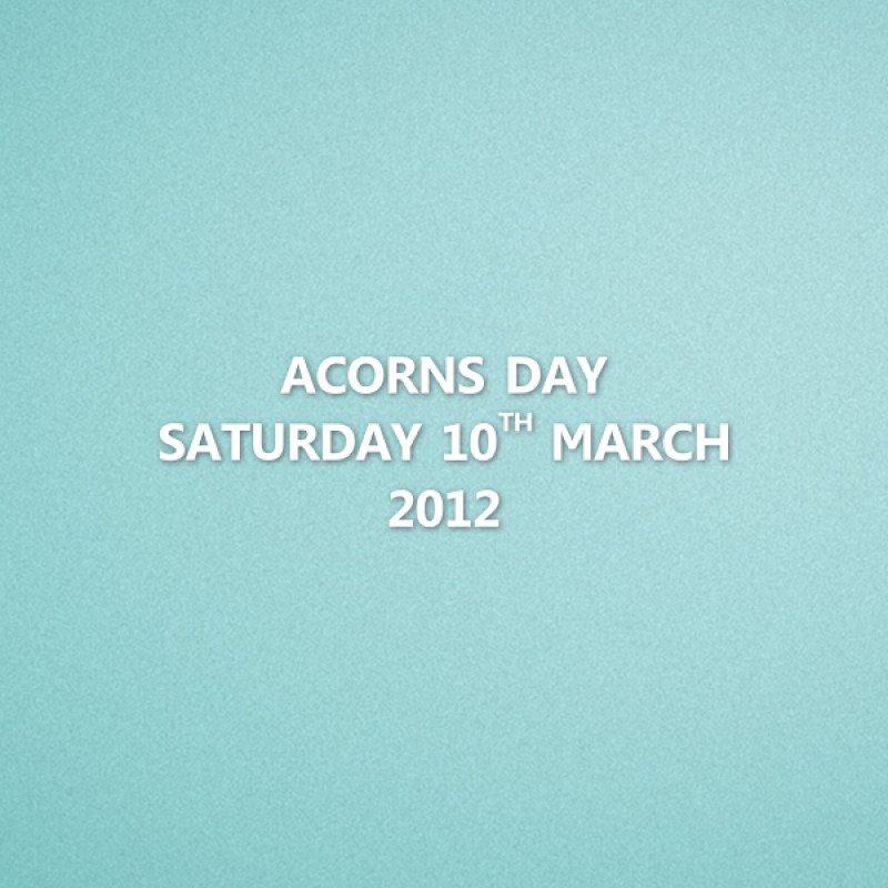 EPL 2012 Aston Villa Home - Acorns Day Saturday 10th March 2012 Match Details
