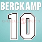 Arsenal 1995-1996 Bergkamp #10 Homekit Nameset Printing 