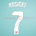 Arsenal 2014-2015 Rosicky #7 Champions League Homekit Nameset Printing