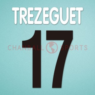 Juventus 2002-2003 Trezeguet #17 Homekit Nameset Printing 