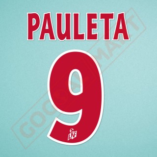 PSG 2002-2003 Pauleta #9 Homekit Nameset Printing 