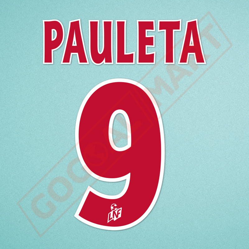 PSG 2002-2003 Pauleta #9 Homekit Nameset Printing 