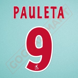 PSG 2003-2004 Pauleta #9 Homekit Nameset Printing 