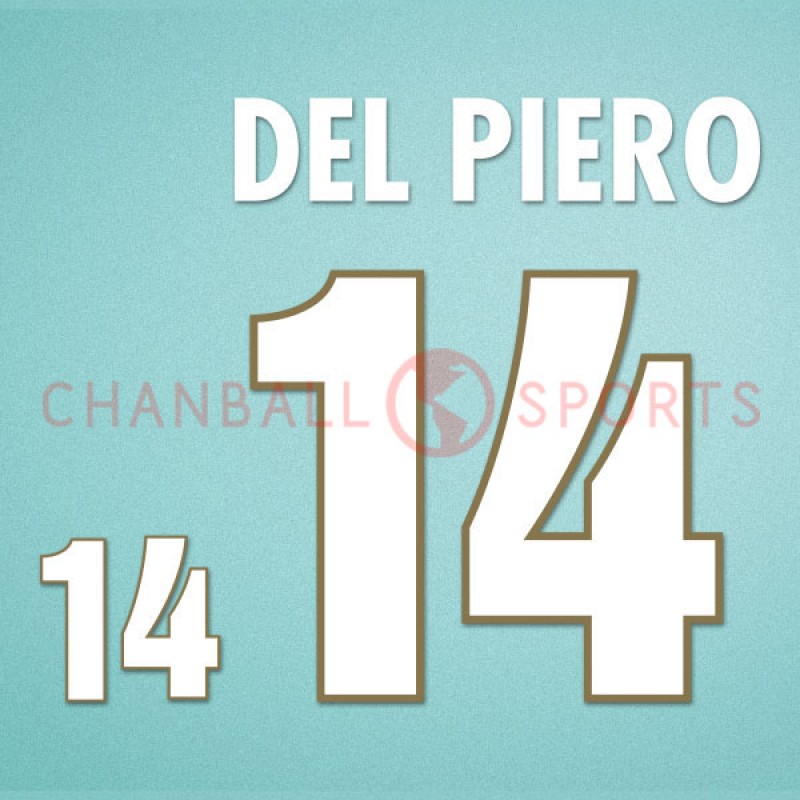 Italy 1996 Del Piero #14 EURO Homekit Nameset Printing 
