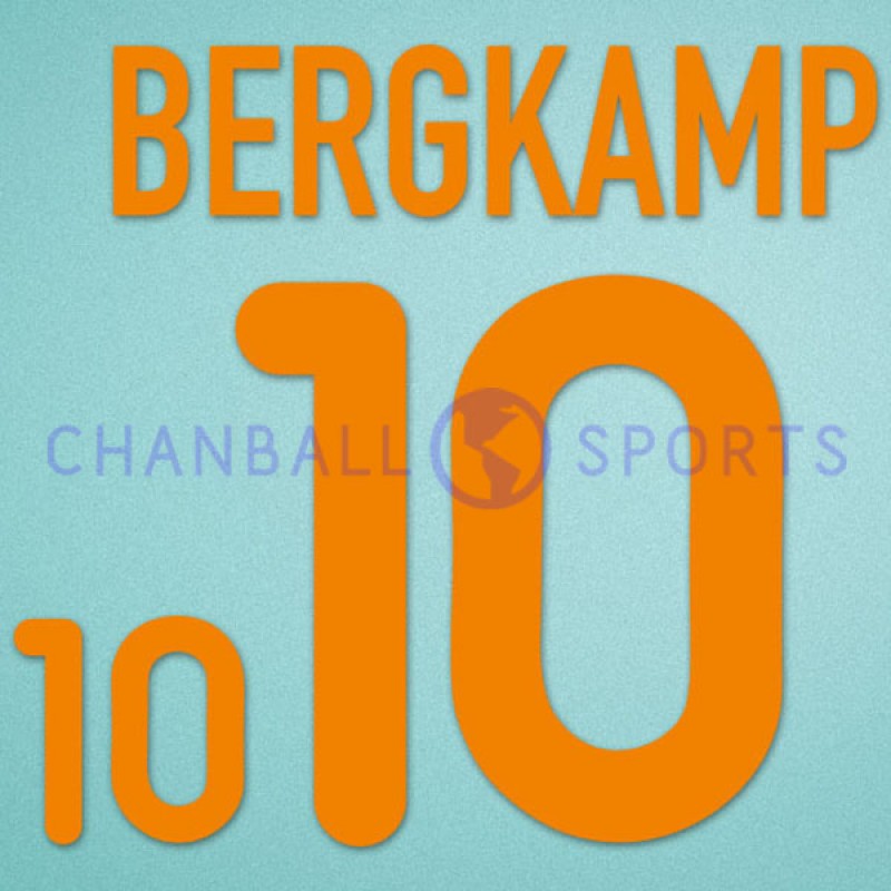 Netherlands 2000 Bergkamp #10 EURO Awaykit Nameset Printing 