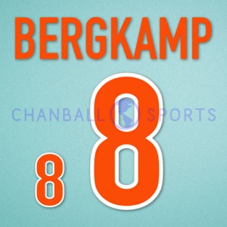 Netherlands 1998 Bergkamp #8 World Cup Awaykit Nameset Printing 
