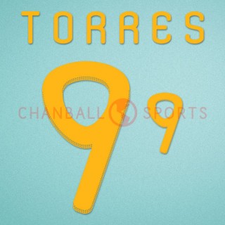 Spain 2010 Torres #9 World Cup Homekit Nameset Printing 