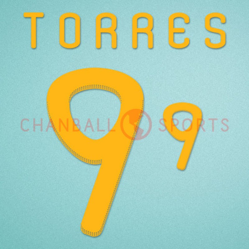 Spain 2010 Torres #9 World Cup Homekit Nameset Printing 
