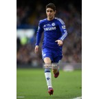 Chelsea Building Bridges 2013-2015 Sleeve Soccer Patch / Badge
