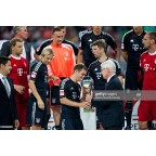 Germany Bundesliga DFL Super Cup 2012 Sleeve Soccer Patch / Badge