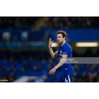 Chelsea 2017-2018 Alliance Sponsor Homekit Sleeve Soccer Patch / Badge