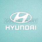 Chelsea 2018-2019 Hyundai Sponsor Homekit Sleeve Soccer Patch / Badge