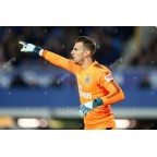 Newcastle 2017-2018 MRF Sponsor Keeper Sleeve Soccer Patch / Badge (Pre-season training version)