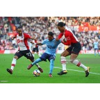 Southampton 2017-2018 Virgin Media Sponsor Homekit Sleeve Soccer Patch / Badge