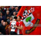 Southampton 2017-2018 Virgin Media Sponsor Homekit Sleeve Soccer Patch / Badge