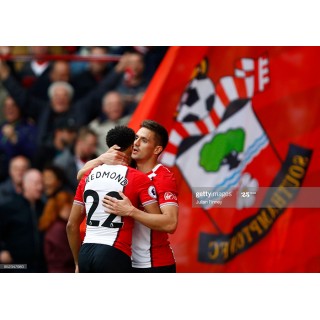 Southampton 2017-2018 Virgin Media Sponsor Homekit Sleeve Soccer Patch / Badge