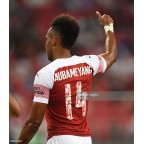 Arsenal 2018-2019 Aubameyang #14 Singapore pre-season tour Homekit Nameset Printing