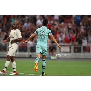 Arsenal Singapore tour 2018-2019 Ozil #10 Awaykit Nameset Printing