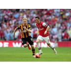Arsenal 2013-2014 Ozil #11 FA Cup Final Homekit Nameset Printing