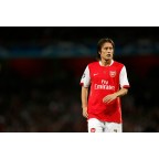 Arsenal 2007-2008 Rosicky #7 Champions League Homekit Nameset Printing