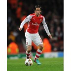 Arsenal 2014-2015 Rosicky #7 Champions League Homekit Nameset Printing