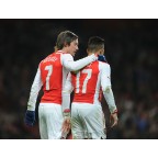 Arsenal 2014-2015 Rosicky #7 FA Cup Homeykit Nameset Printing