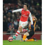 Arsenal 2014-2015 Rosicky #7 FA Cup Homeykit Nameset Printing