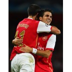 Arsenal 2007-2008 v. Persie #11 Champions League Homekit Nameset Printing