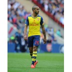 Arsenal 2014-2015 Walcott #14 FA Cup Awaykit Nameset Printing
