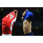 Arsenal 2014-2015 Walcott #14 Champions League Homekit Nameset Printing