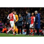 Arsenal 2014-2015 Walcott #14 Champions League Homekit Nameset Printing