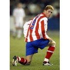 Atletico Madrid 2003-2004 F. Torres #9 Homekit Nameset Printing