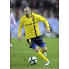Barcelona 2008-2010 Iniesta #8 Awaykit Nameset Printing