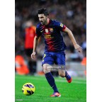 Barcelona 2012-2013 David Villa #7 Homekit Nameset Printing