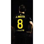 Barcelona 2011-2012 Iniesta #8 Home/Awaykit Nameset Printing
