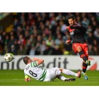 Celtic 2009-2012 Brown #8 Homekit Nameset Printing