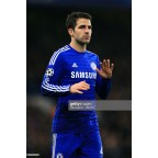 Chelsea 2014-2015 Fabregas #4 Champions League Homekit Nameset Printing