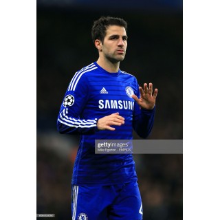 Chelsea 2014-2015 Fabregas #4 Champions League Homekit Nameset Printing