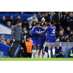 Chelsea 2014-2015 Fabregas #4 Champions League Homekit Nameset Printing