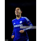Chelsea 2013-2015 Hazard #10 Champions League Homekit Nameset Printing