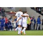 France 2010 Henry #12 World Cup Awaykit Nameset Printing 