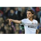 Inter Milan 2008-2009 Ibrahimovic #8 Awaykit Nameset Printing