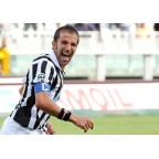 Juventus 2006-2007 Del Piero #10 Homekit Nameset Printing 