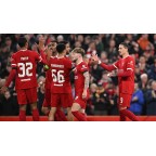 Liverpool L.F.C. Foundation 2023-2025 Back Sponsor Soccer Patch / Badge (White Red Bird)