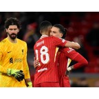 Liverpool L.F.C. Foundation 2023-2025 Back Sponsor Soccer Patch / Badge (White Red Bird)