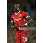 Liverpool 2017-2018 Mane #19 Champions League Homekit Nameset Printing