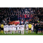 Manchester United 2008-2009 J.S.Park #13 Champions League Awaykit Nameset Printing