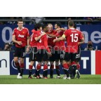 Manchester United 2008-2011 Vidic #15 Champions League Homekit Nameset Printing 